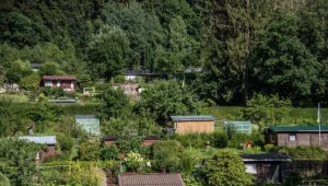 Rodzinne grody działkowe nie tracą swojej popularności/.