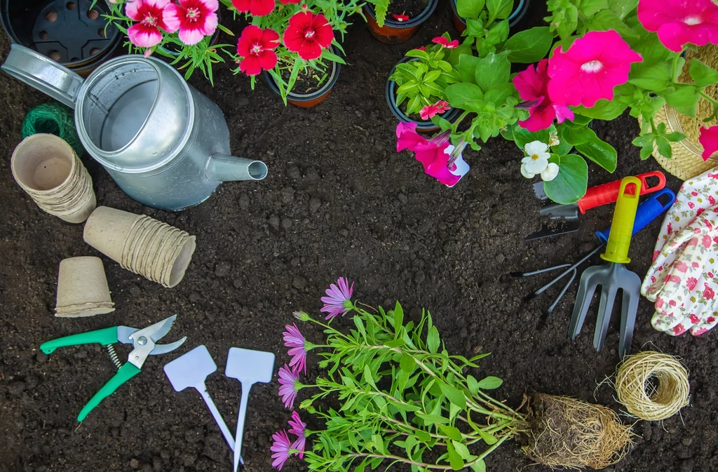 Przy planowaniu prac ogrodowych należy pamiętać o kilku ważnych zasadach