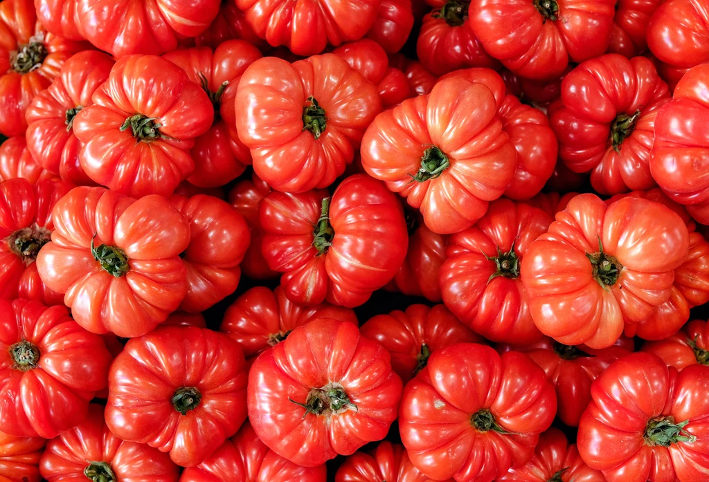 Obfite plony pomidorów? Wystarczy przygotować glebę pod uprawę