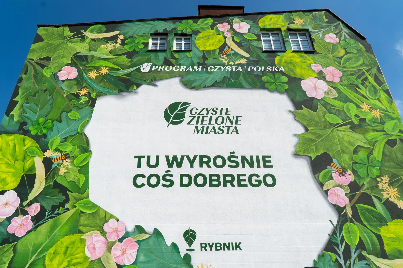 W ramach projektu „Czyste, Zielone Miasta” Stowarzyszenia Program Czysta Polska w Rybniku powstał mural pochłaniający smog. W myśl hasła „Bądź w porządku dla planety” Stowarzyszenie chce propagować ekologiczne postawy i aktywizować mieszkańców, aby zmieniali otoczenie na czyste i zielone. Akcja odbędzie się w 45 miastach w całej Polsce.