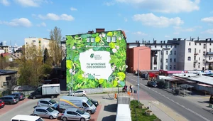 Czyste, Zielone Miasta w Rybniku. Sprzątanie rzeki, sadzenie drzew i antysmogowy mural