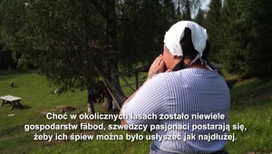 Niezwykła szwedzka tradycja. Specjalny śpiew… dla pasterzy bydła