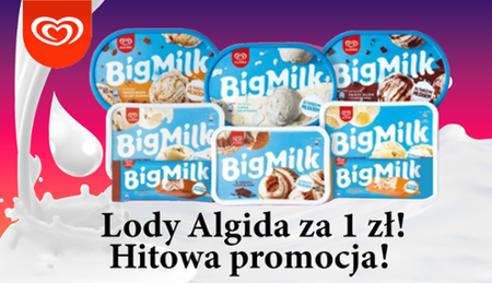 Lody Algida Big Milk za 1 zł!