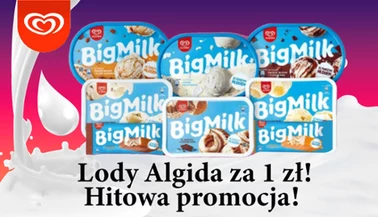 Lody Algida Big Milk za 1 zł!
