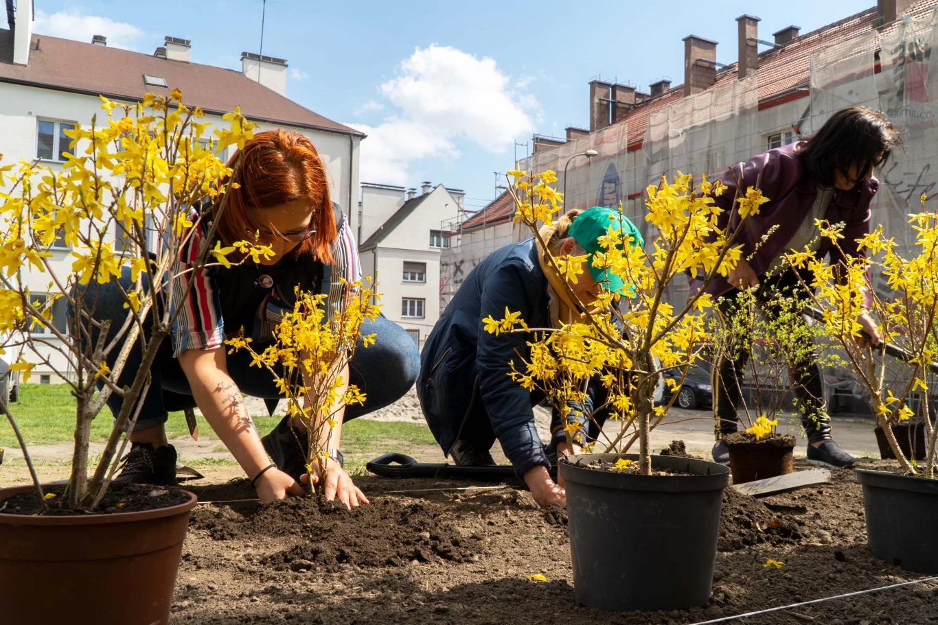 Podczas inauguracji wydarzenia "Czyste Zielone Miasta" w Rybniku odbyła się m.in. akcja sadzenia drzew
