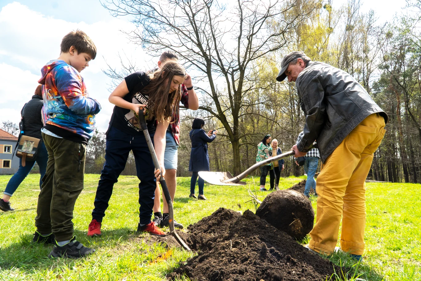 Podczas inauguracji wydarzenia "Czyste Zielone Miasta" w Rybniku odbyła się m.in. akcja sadzenia drzew