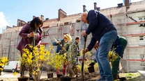 Podczas inauguracji wydarzenia "Czyste Zielone Miasta" w Rybniku odbyła się m.in. akcja sadzenia drzew