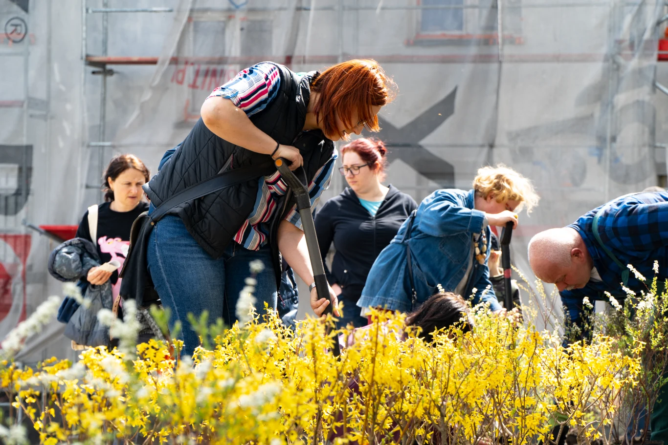 Podczas inauguracji wydarzenia "Czyste Zielone Miasta" w Rybniku odbyła się m.in. akcja sadzenia drzew