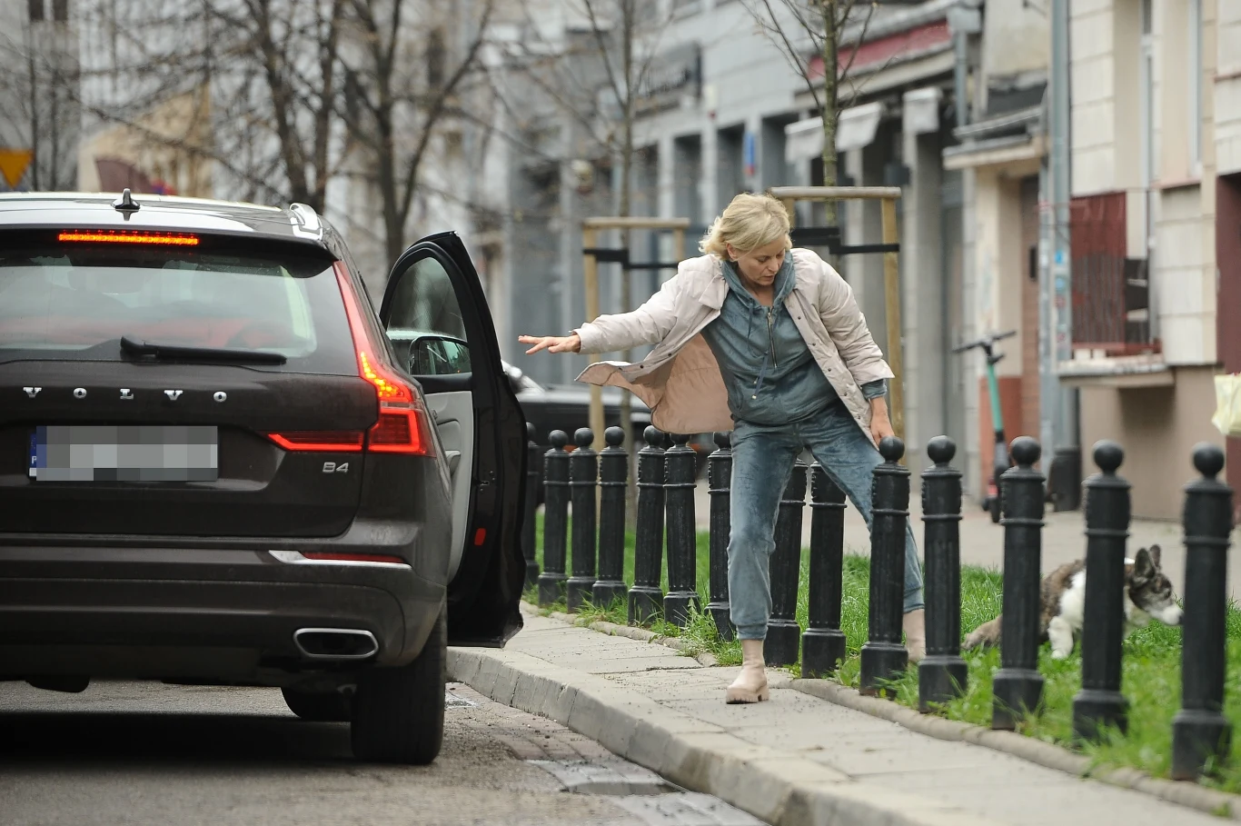 Aktorka w tym czasie wyprowadziła swojego pieska na trawę Aktorka w tym czasie wyprowadziła swojego pieska na trawę