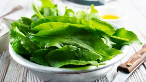 Zielenina zawierająca szczawiany, czyli m.in szpinak, szczaw i botwinka, poważnie szkodzi nerkom. Uważaj, bo właśnie trwa na nie sezon