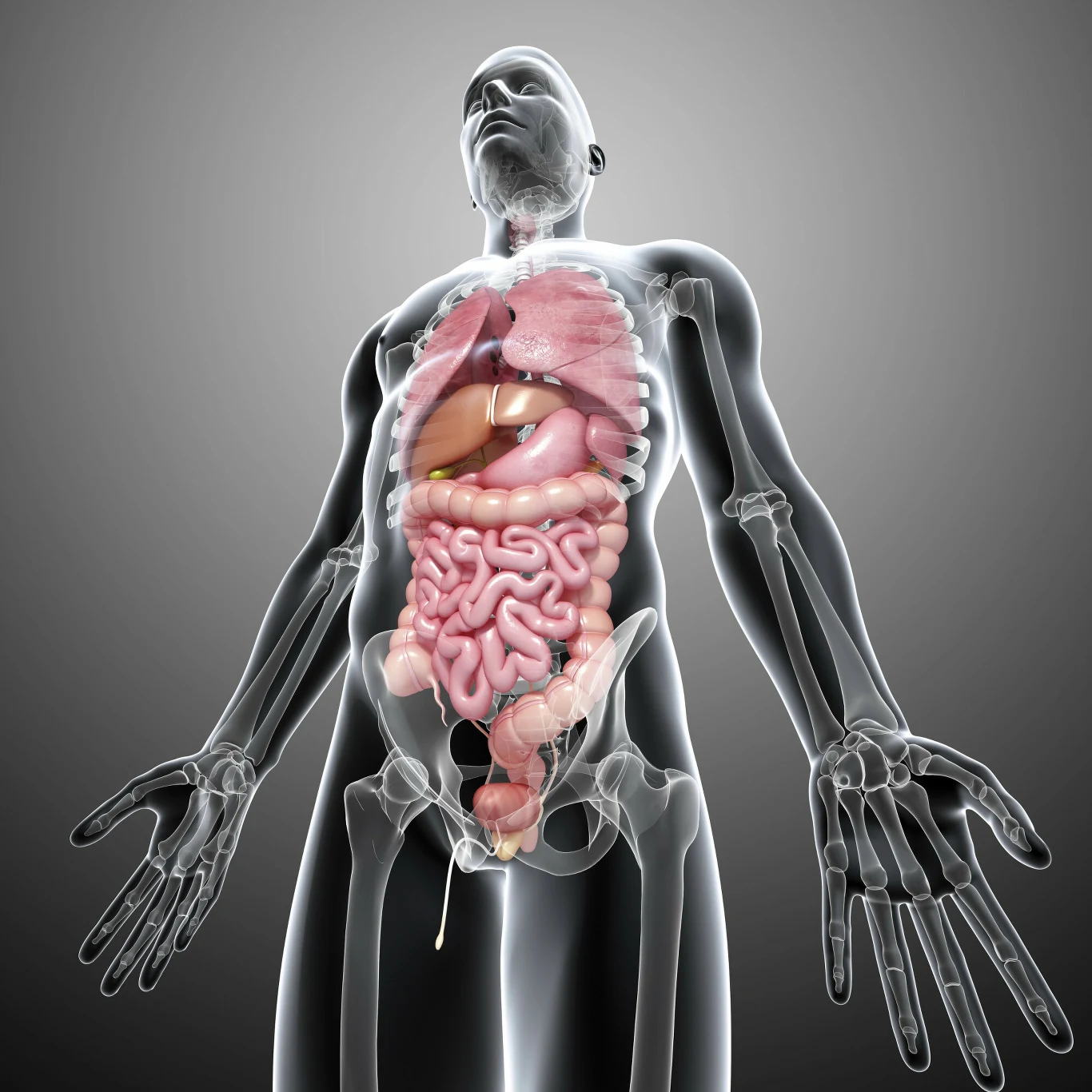 Kondycja jelit wpływa nie tylko na dobrostan fizyczny, ale i psychiczny