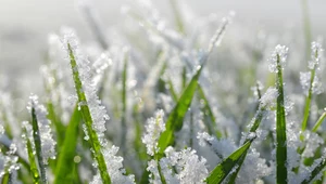 Układ niżowy, który znajduje się nad Skandynawią, przyniesie śnieżyce, wichury i silniejszy mróz