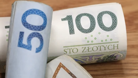 ​20 zł za 10 minut pracy? To dorywcze zajęcie pozwala nieźle dorobić