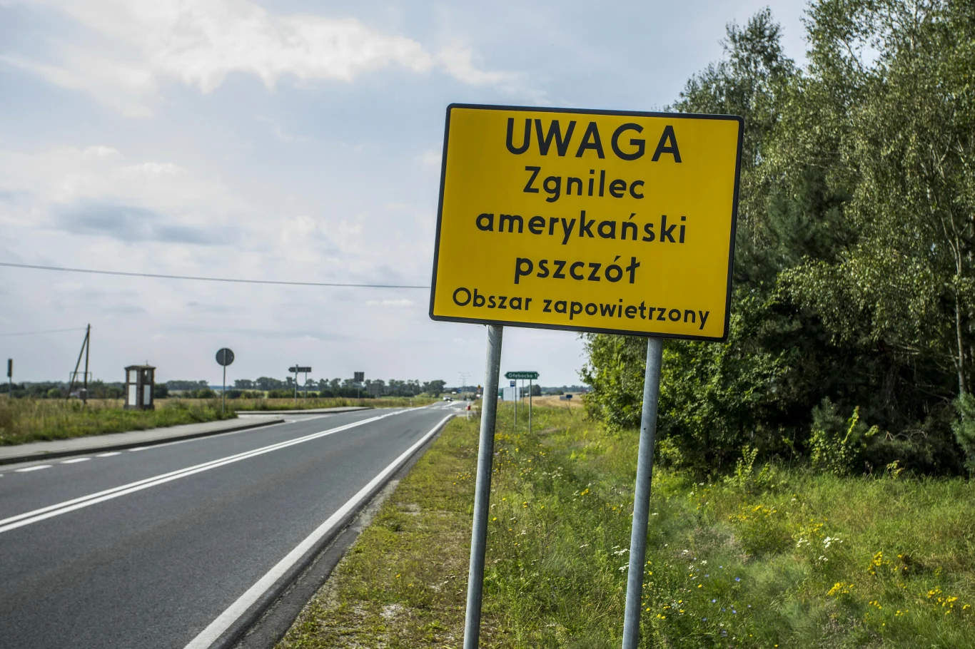 Uwaga! Zgnilec amerykański pszczół - co oznaczają te tablice? Uwaga! Zgnilec amerykański pszczół - co oznaczają te tablice?