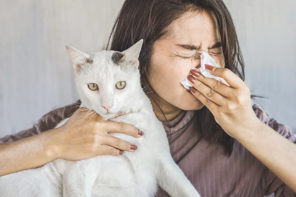 Alergia na kota występuje nawet u co piątej dorosłej osoby z objawami uczulenia