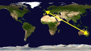 Najdłuższa trasa lotnicza na świecie. Sydney zostanie połączone z Londynem