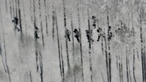 Uchodźcy z Chin, Jemenu i Iranu na granicy z Białorusią