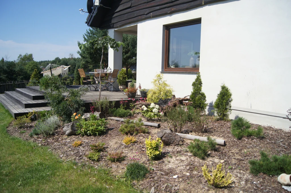 Dom Iwony i Gerarda z "Sanatorium miłości" i ogródek z krzewami