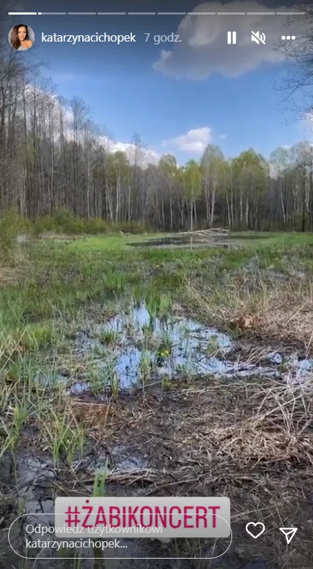 https://www.instagram.com/katarzynacichopek/ https://www.instagram.com/katarzynacichopek/