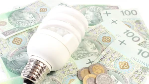 Emilewicz: Transformacja energetyczna wystopuje wzrost cen energii 