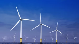 Polska stanie się hubem morskiej energetyki wiatrowej? Zdj. ilustracyjne