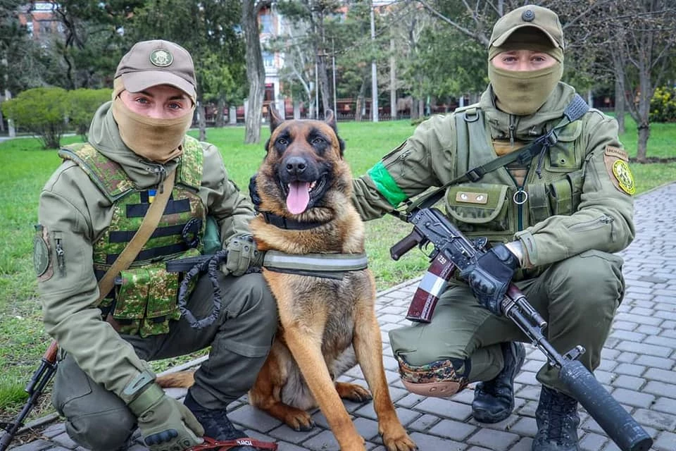Max - pies rosyjskiej armii, który teraz służy Ukraińcom.