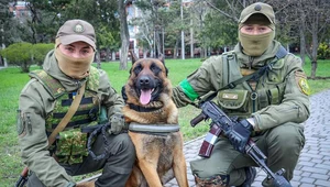 Porzucony pies armii rosyjskiej został przygarnięty przez ukraińskich żołnierzy