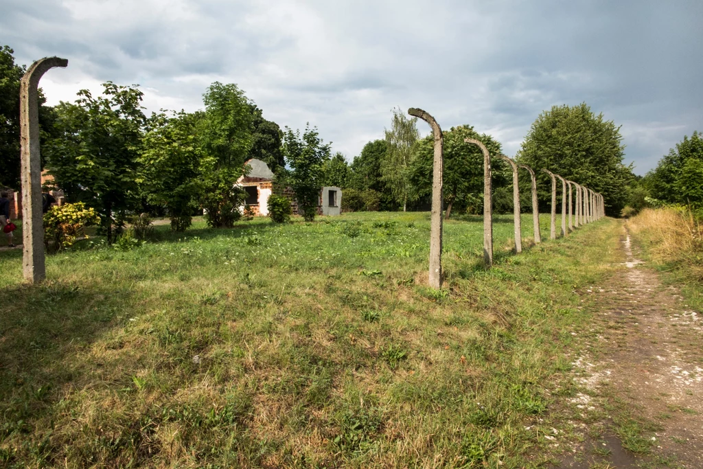 Tereny zielone byłego obozu w Płaszowie w każdy weekend przyciągają spragnionych oddechu krakowian. Wielu z nich nie zdaje sobie sprawy z wyjątkowości tego miejsca