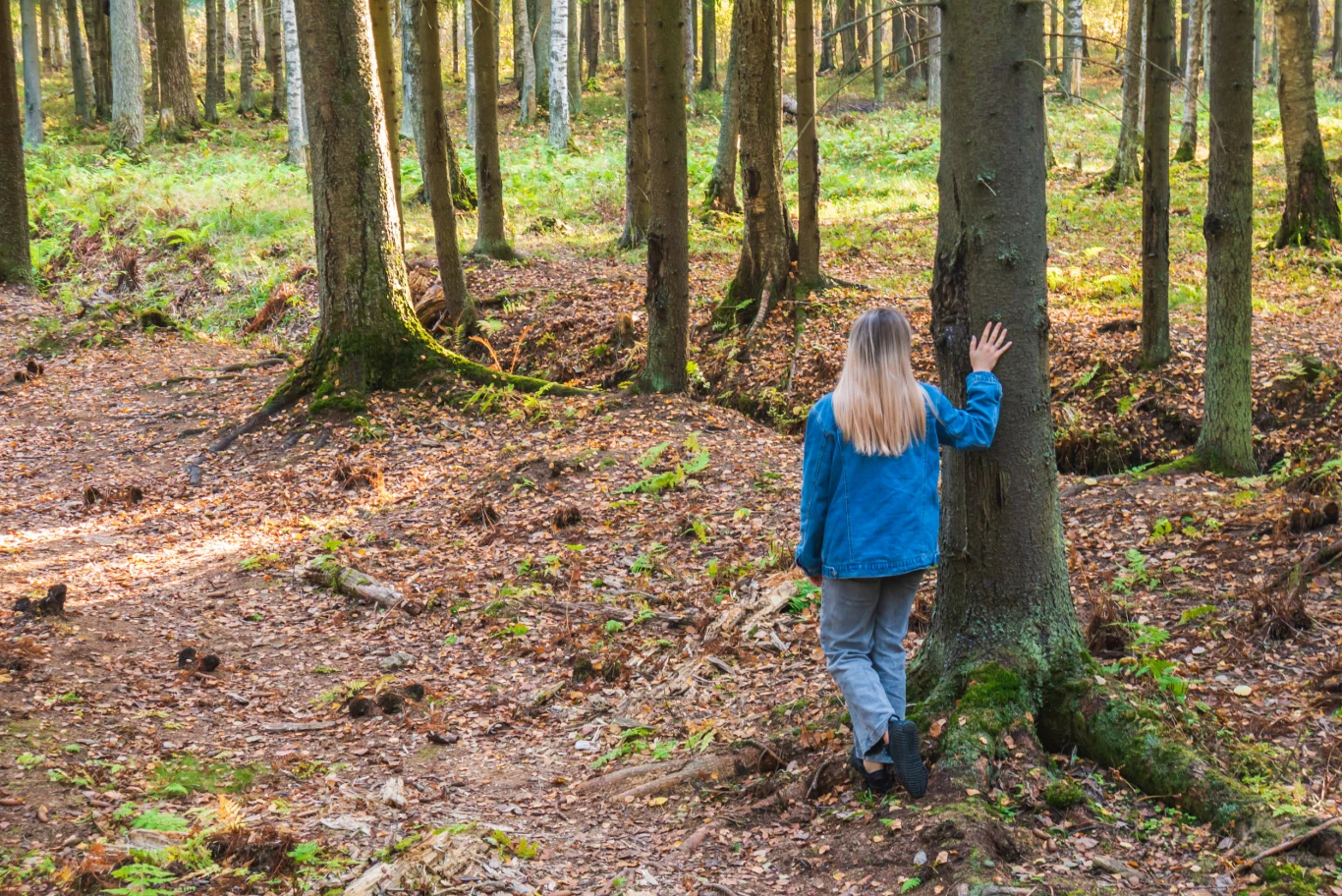 Tych roślin nie wynoś z lasu. Grozi za to wysoki mandat. Tych roślin nie wynoś z lasu. Grozi za to wysoki mandat.