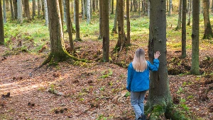 Tych roślin nie wynoś z lasu. Grozi za to wysoki mandat.