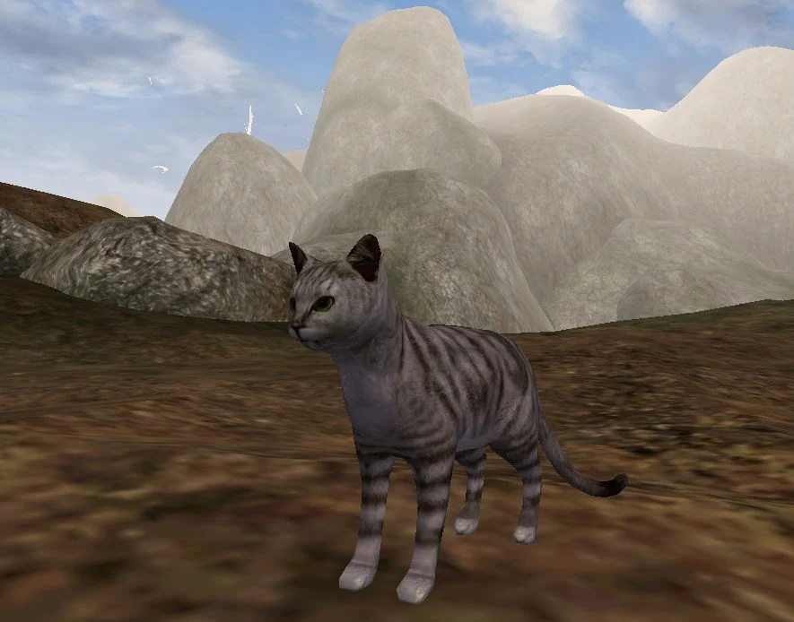 Mod "Stripes the Cat" do gry The Elder Scrolls III: Morrowind Mod "Stripes the Cat" do gry The Elder Scrolls III: Morrowind