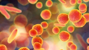 Infekcji mykoplazmą nigdy nie należy ignorować, ponieważ nieleczona może prowadzić nawet do bezpłodności.