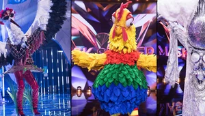 "Mask Singer": Bocian, Kogut czy Deszcz? Kto zwycięży w finale programu?