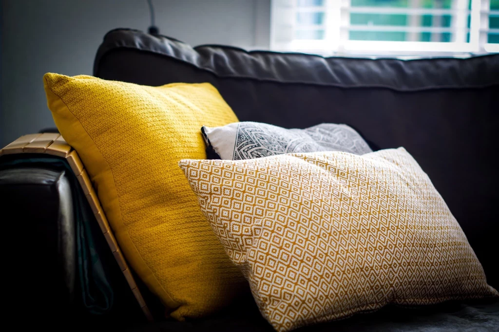 Z badania wynika, że plamoodporne pokrowce na poduszki często zawierają toksyczne "wieczne chemikalia".