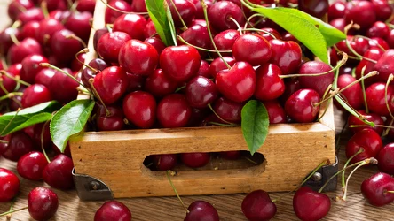 ​Tak usuniesz robaki z czereśni. Banalnie proste i  nie wymaga krojenia