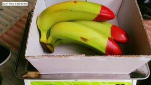 Co oznacza czerwona końcówka banana? Mało kto wie o jej znaczeniu