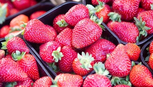 Do szpitala trafił z bólem głowy. Zmarł z powodu nieumytych truskawek