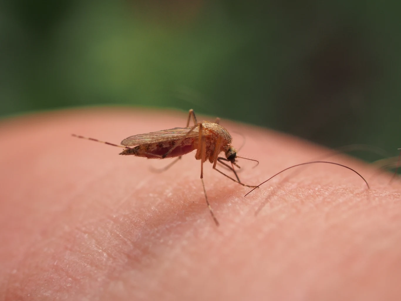 Znaczenie mają m.in. grupa krwi czy kolor ubrań, które nosimy Znaczenie mają m.in. grupa krwi czy kolor ubrań, które nosimy