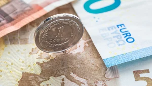Kursy walut. Ile zapłacimy za euro dolara i franka w piątek, 16 lutego?
