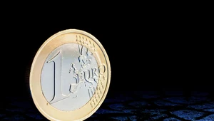 Strefę euro czeka trudny okres. Inflacja będzie rosnąć. Zdj. ilustracyjne
