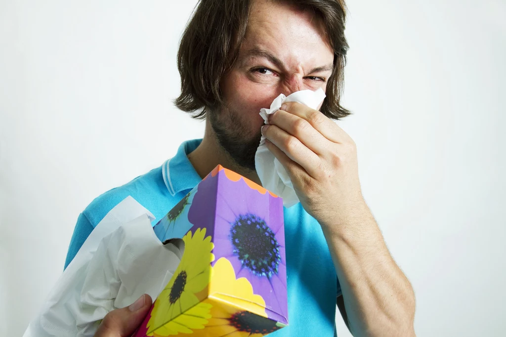 Coraz więcej osób odczuwa skutki uczulenia na pyłki. Dlaczego alergie się nasilają? Odpowiedź znaleźli polscy naukowcy