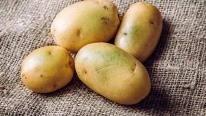 Toksyczne ziemniaki - jak je rozpoznać?