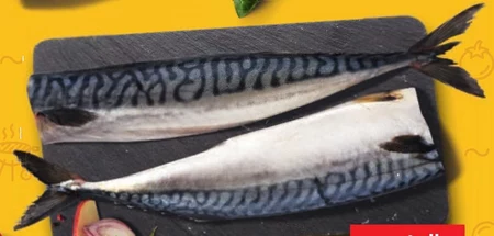 Makrela