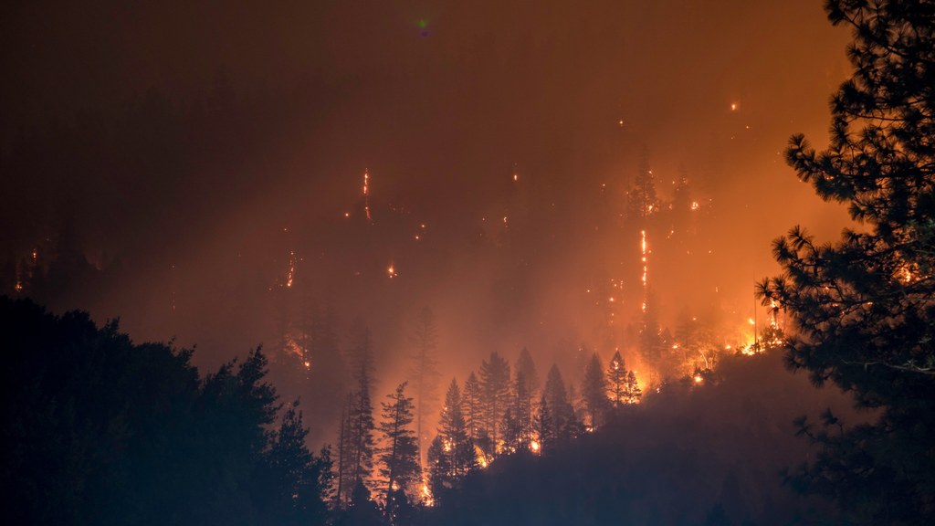 Pożary lasów na Syberii mogą uwolnić z wiecznej zmarzliny gigantyczne ilości metanu i CO2