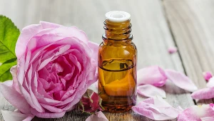 Olejek różany ma właściwości przeciwzapalne, przeciwbólowe, łagodzące stres 