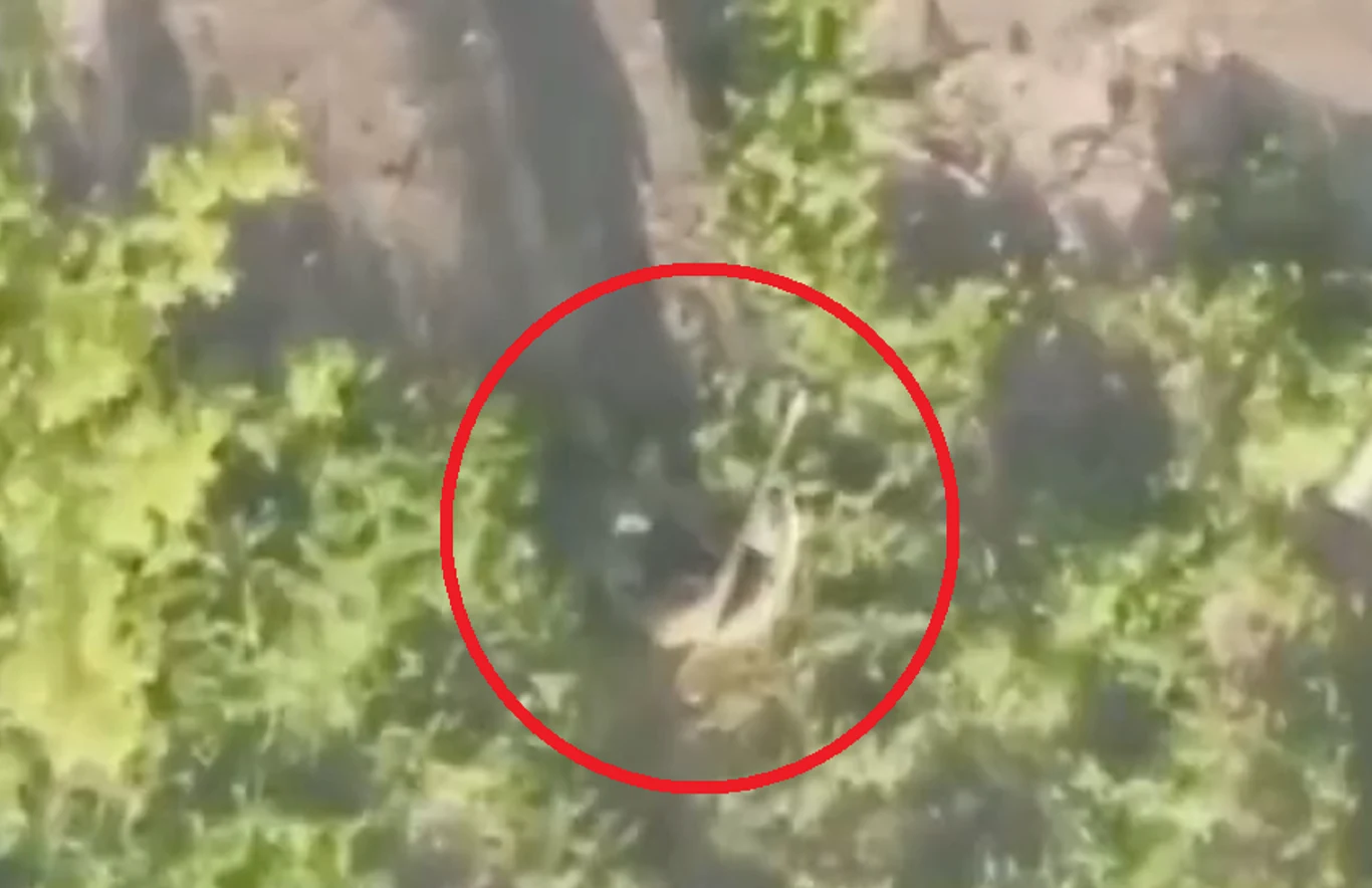 Rosyjski żołnierz nie spodziewał się ataku z powietrza Rosyjski żołnierz nie spodziewał się ataku z powietrza