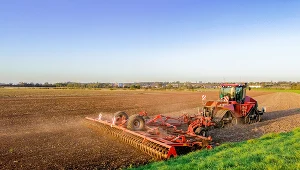Rosną dopłaty do rolnictwa ekologicznego. Uprawa opłaca się coraz bardziej