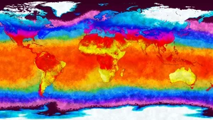 2023 rok był wyjątkowy dla klimatu. Jednakże jest to bardzo zła wiadomość