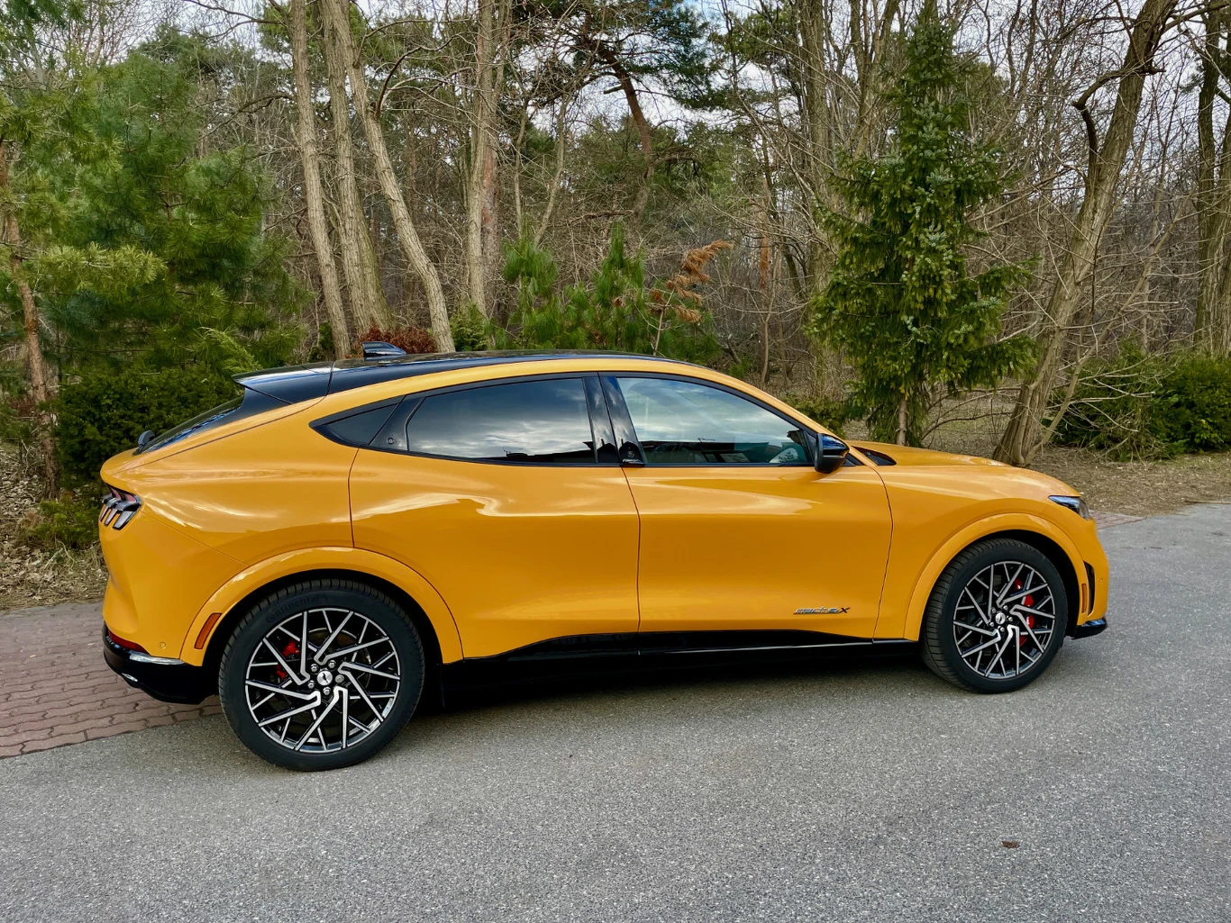Ford Mustang Mach-E GT