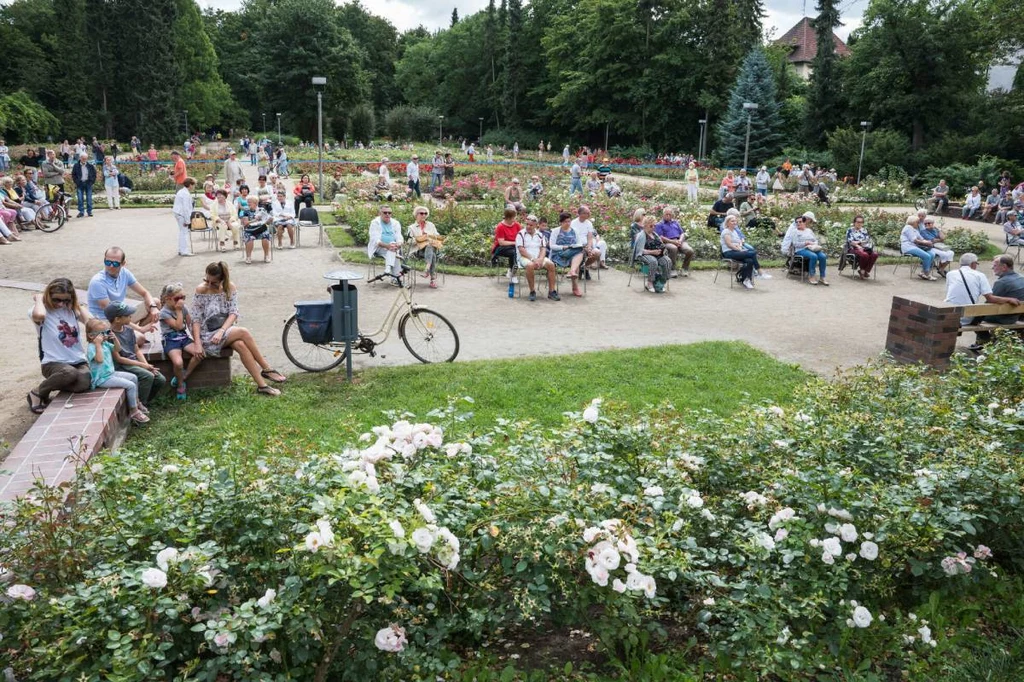 W ogrodzie różanym na spacerowiczów czekają alejki, ławki oraz place zabaw